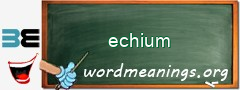 WordMeaning blackboard for echium